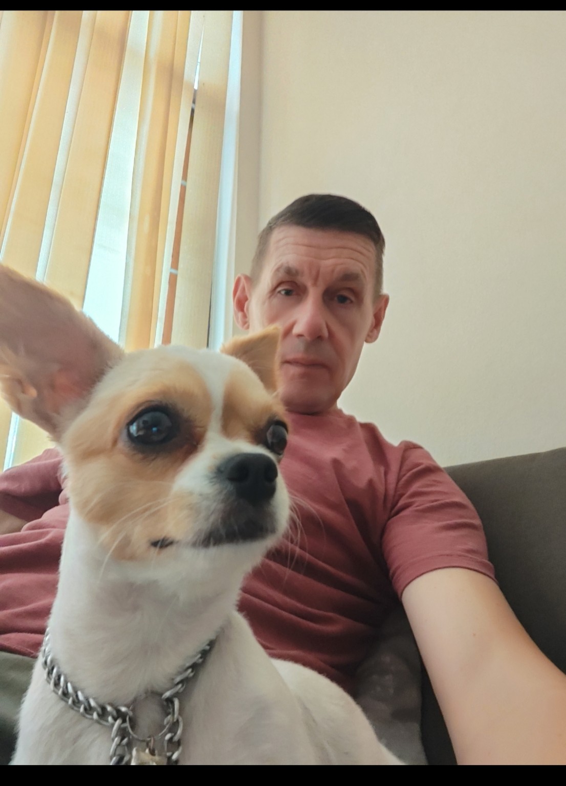 A pet cared for by Mark's Sit & Stay